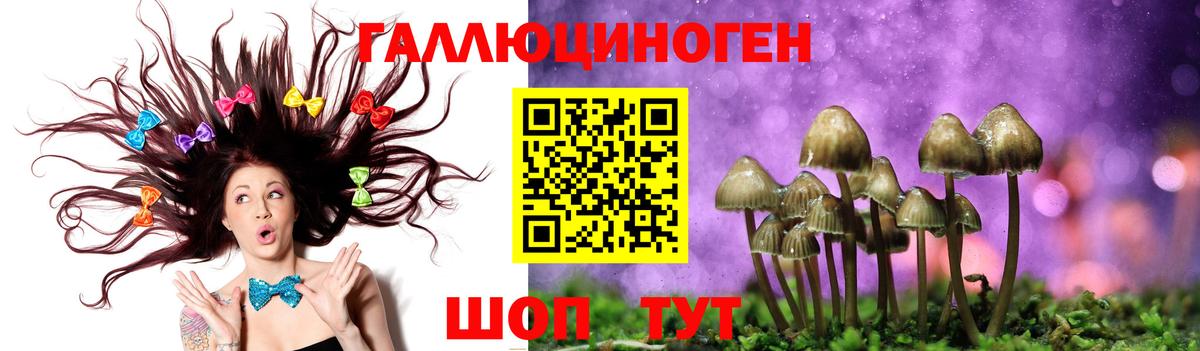 Псилоцибиновые грибы Psilocybe  Псилоцибиновые грибы ЛСД  Можайск  Вход с VPN 